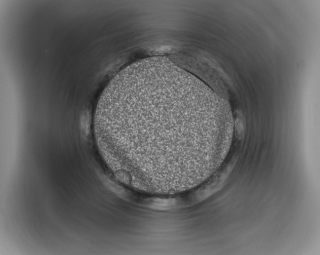 X0000115080458200911241145