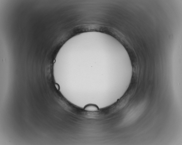 X0000115080462200911241145