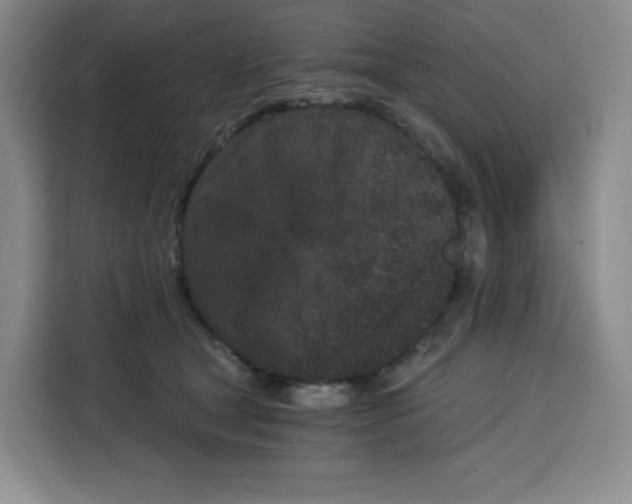 X0000115080465200911241145