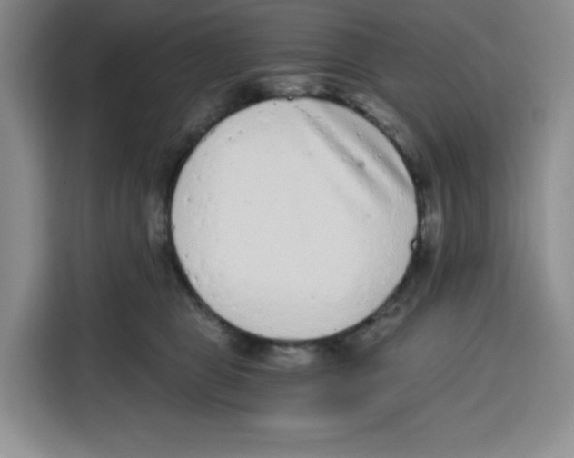 X0000115080469200911241145