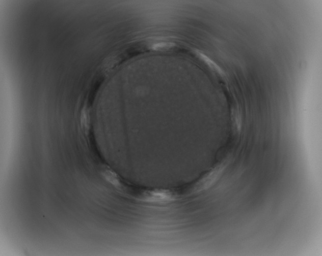 X0000115080475200911241146