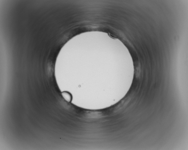 X0000115080476200911241146