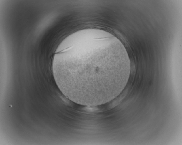 X0000115080477200911241146