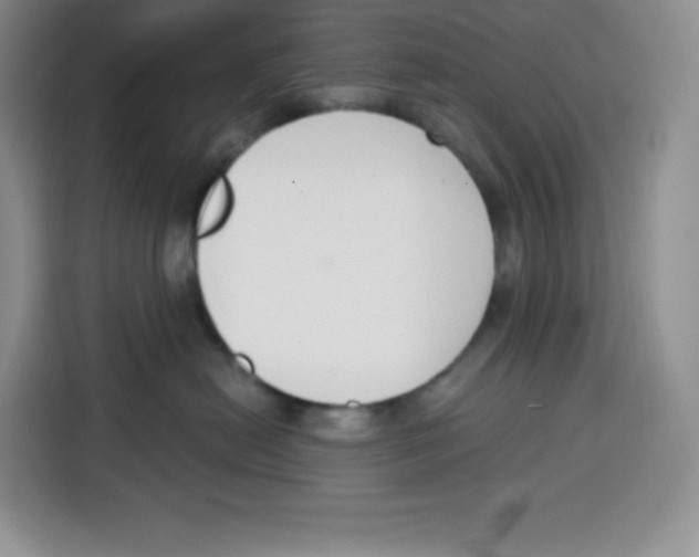 X0000115080478200911241146