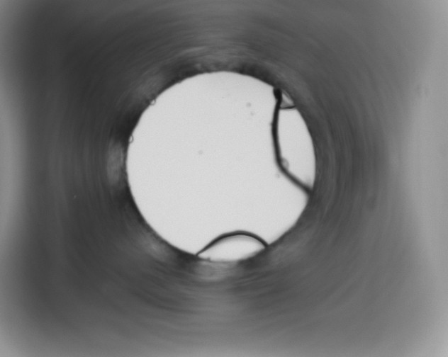 X0000115080480200911241146