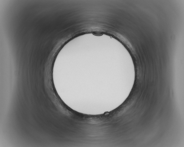 X0000115080481200911241145
