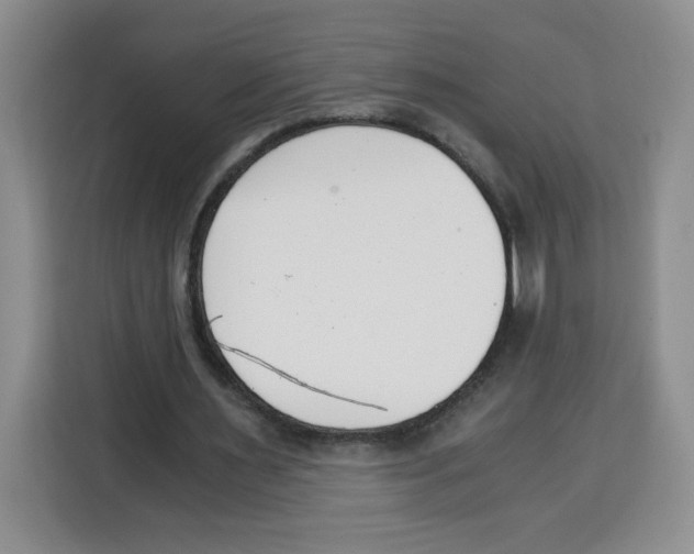 X0000115080483200911241145
