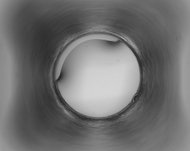 X0000115080485200911241145