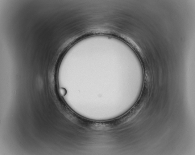 X0000115080487200911241145