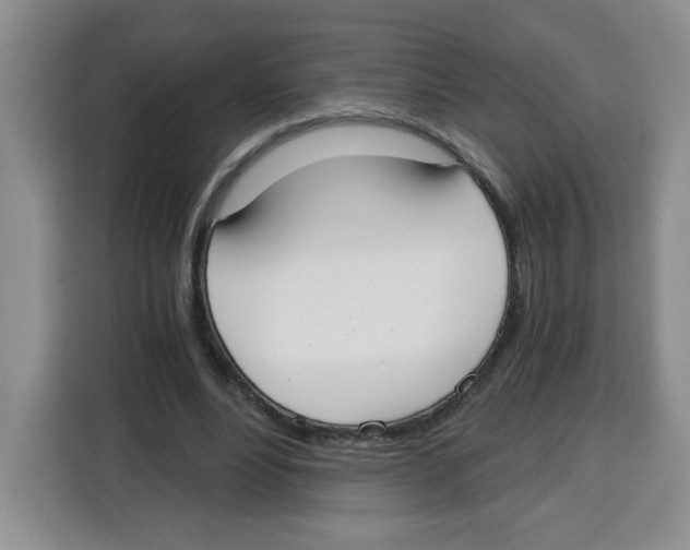 X0000115080488200911241145