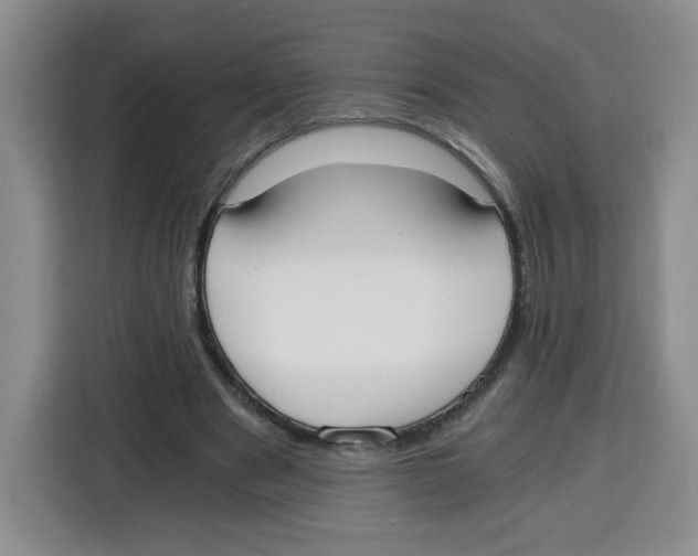 X0000115080489200911241145