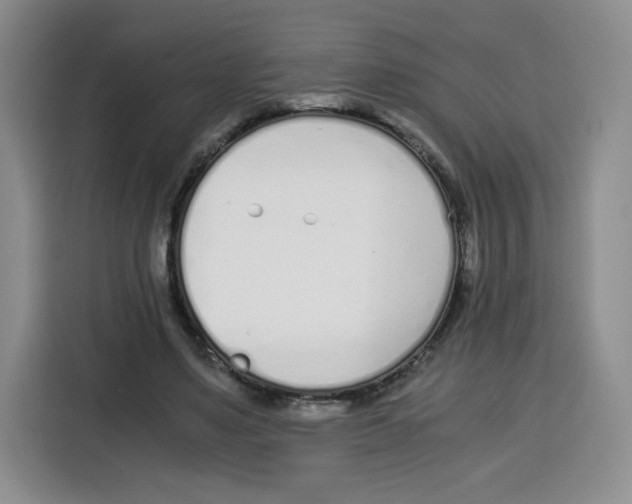 X0000115080491200911241145