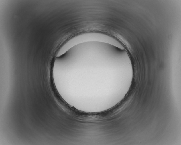X0000115080493200911241145