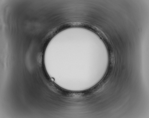 X0000115080495200911241145