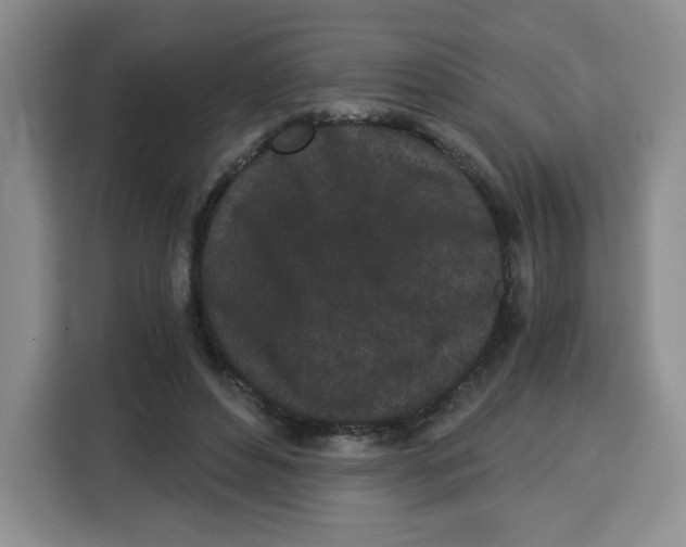 X0000115080496200911241145