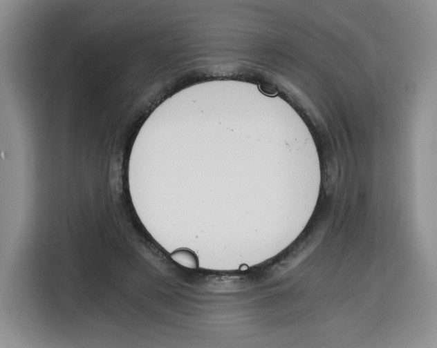 X0000115080497200911241145