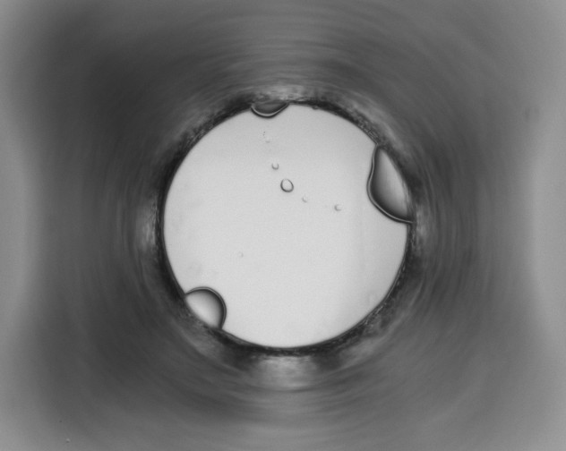 X0000115080499200911241145