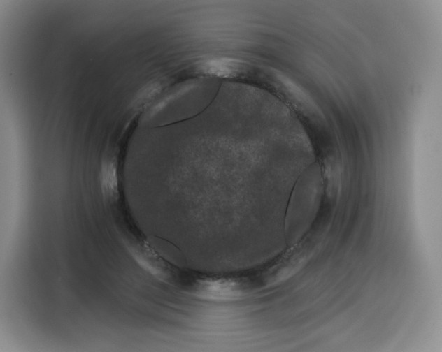 X0000115080500200911241145