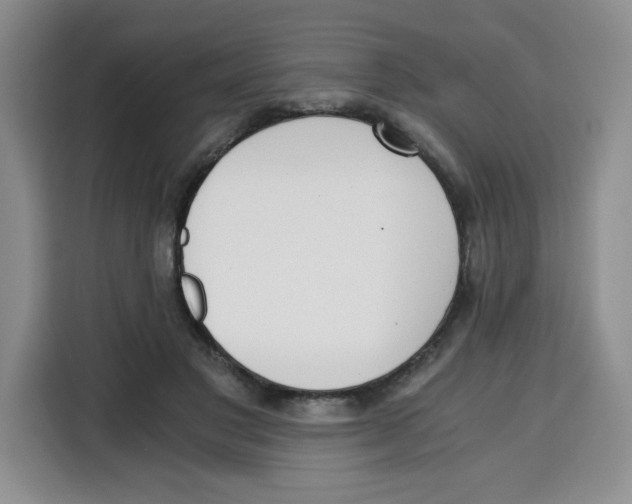X0000115080501200911241145