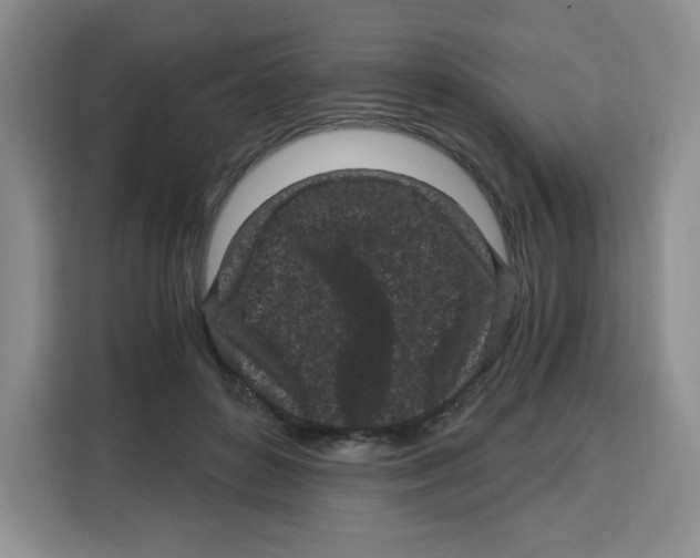 X0000115080504200911241145