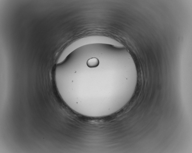 X0000115080508200911241145
