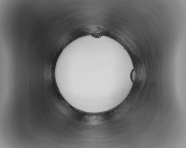 X0000115080512200911241145