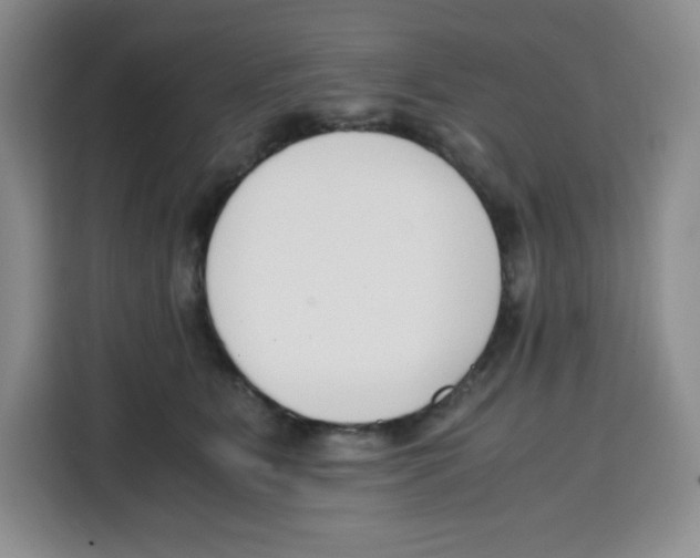 X0000115080515200911241145