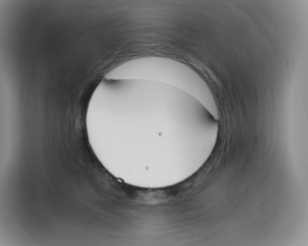 X0000115080517200911241145