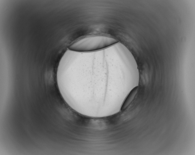 X0000115080520200911241144