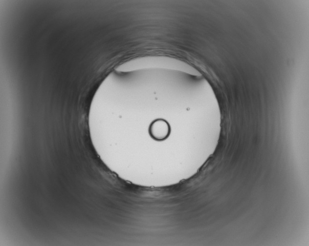 X0000115080521200911241144