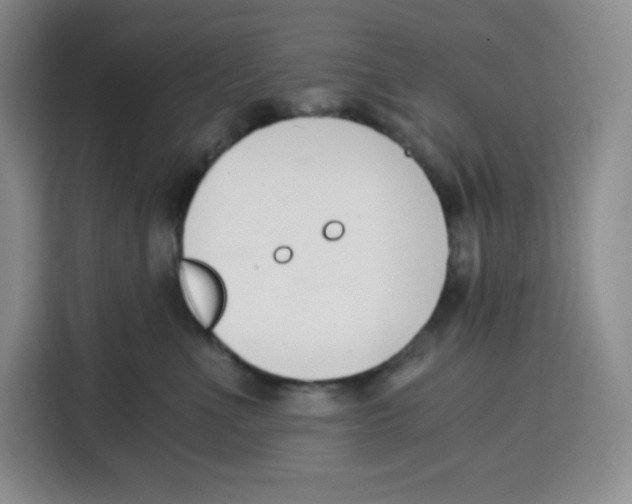 X0000115080523200911241144