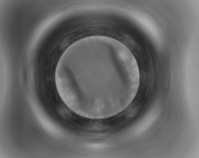X0000115080526200911241144