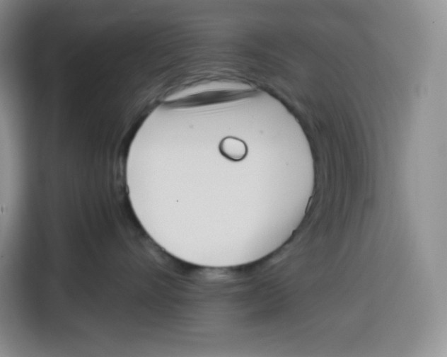 X0000115080528200911241144
