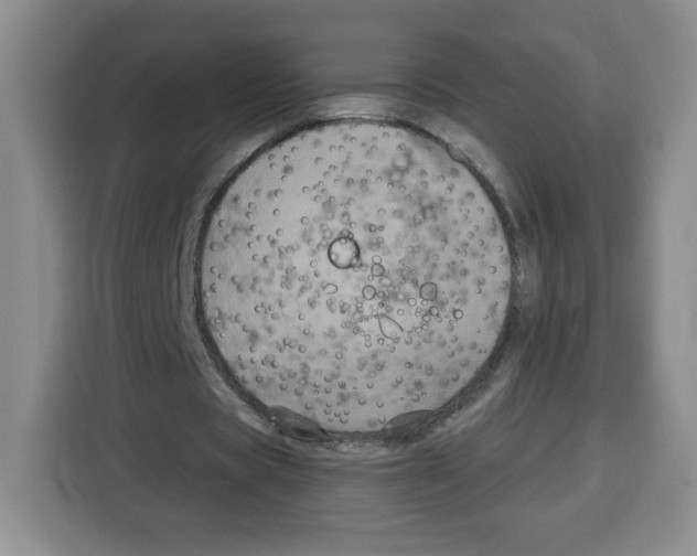 X0000115080529200911241144