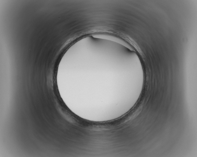 X0000115080530200911241144