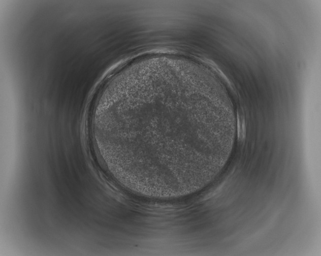 X0000115080531200911241144