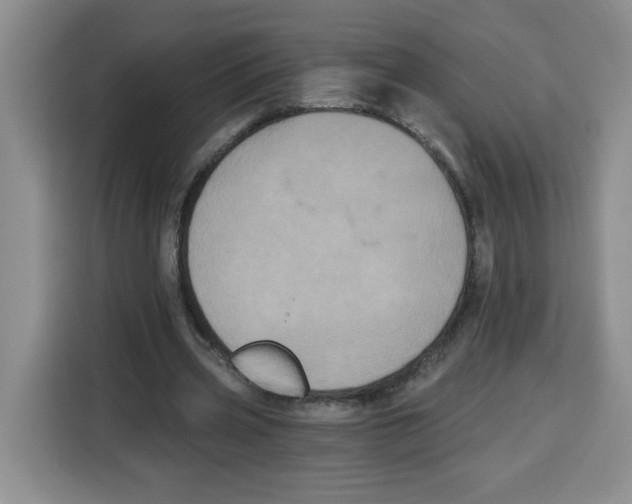 X0000115080533200911241144