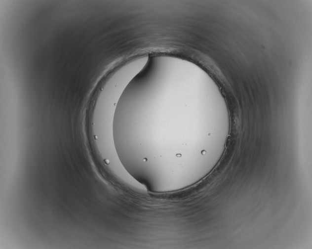 X0000115080534200911241144