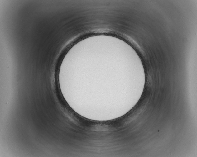 X0000115080535200911241144