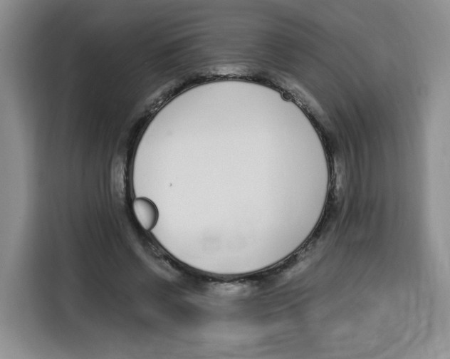 X0000115080542200911241144