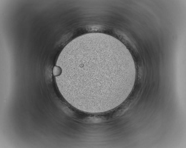 X0000115080545200911241144