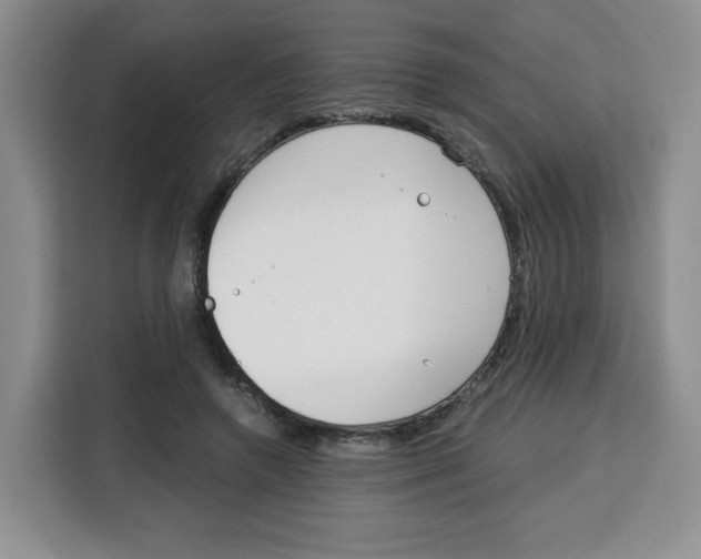 X0000115080546200911241144