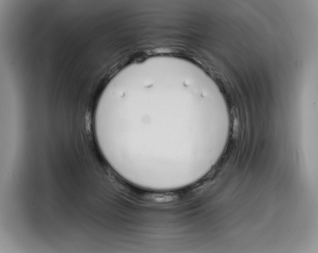 X0000115080555200911241144