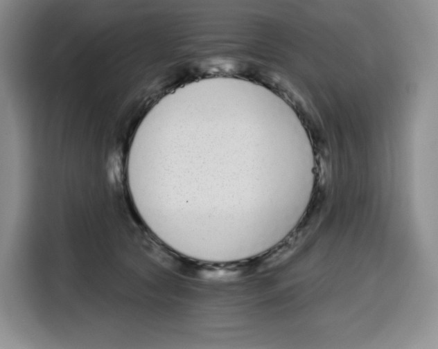 X0000115080561200911241144