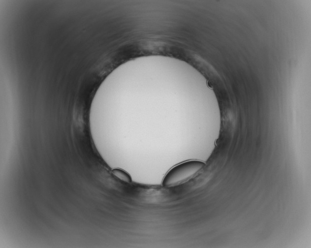 X0000115080566200911241144