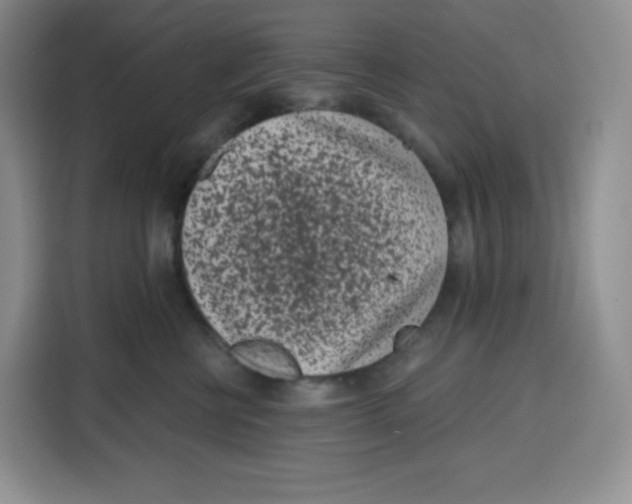 X0000115080570200911241144