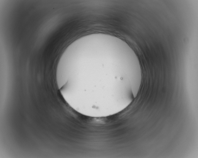 X0000115080573200911241144