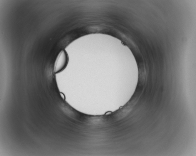 X0000115080574200911241144