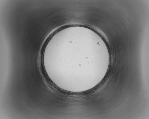 X0000115080580200911241144