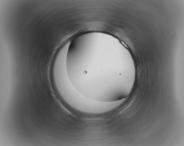 X0000115080581200911241144